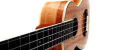 Play-Ukulele