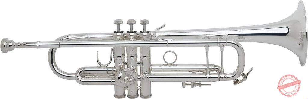 Bach 180S43 Stradivarius