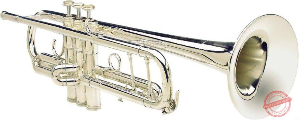 S.E. Shires TRQ10S