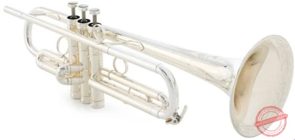 Victory Musical Instruments Revelation Series
